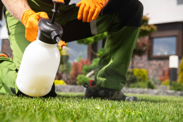 Pest Prevention Services in Greenwood Village, CO