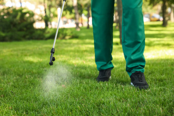 Professional Pest Control in Greenwood Village, CO