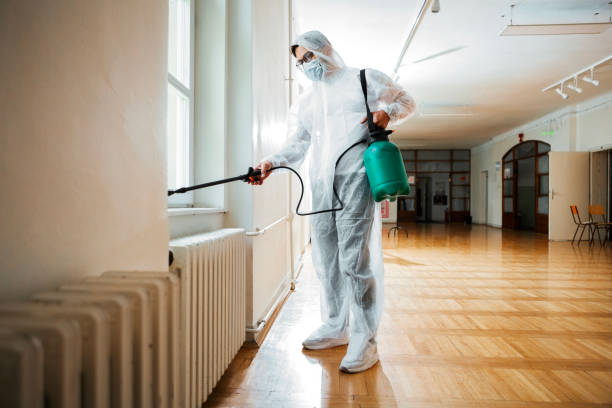 Best Pest Control Near Me  in Greenwood Village, CO